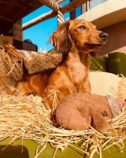 Hôtel Plein Large · Hôtel Bandol avec Vue sur la Mer, Var