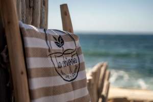 Hôtel 3 étoiles Bandol, Bord de mer · Hôtel Plein Large