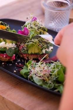 Hôtel Plein Large - Bandol - Restaurant La Chipote - Bar le Spot - La Petite Plage 