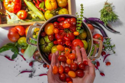 HOTEL PLEIN LARGE 3 ETOILES - RESTAURANT LA CHIPOTE - BAR LE SPOT - LA PETITE PLAGE - BANDOL