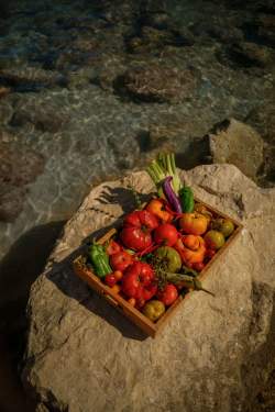 LA CHIPOTE BANDOL restaurant  - Hôtel Plein Large - Bar Le Spot