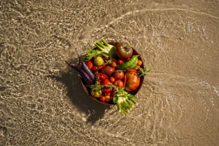 HOTEL PLEIN LARGE 3 ETOILES - RESTAURANT LA CHIPOTE - BAR LE SPOT - LA PETITE PLAGE - BANDOL