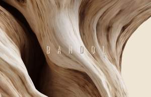 Hôtel Plein Large - Carte de Membre - Bandol - Restaurant La Chipote - Bar le Spot - La Petite Plage 