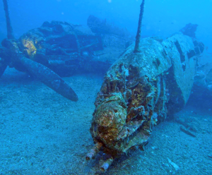 Que faire à Bandol ? · Hôtel Plein Large